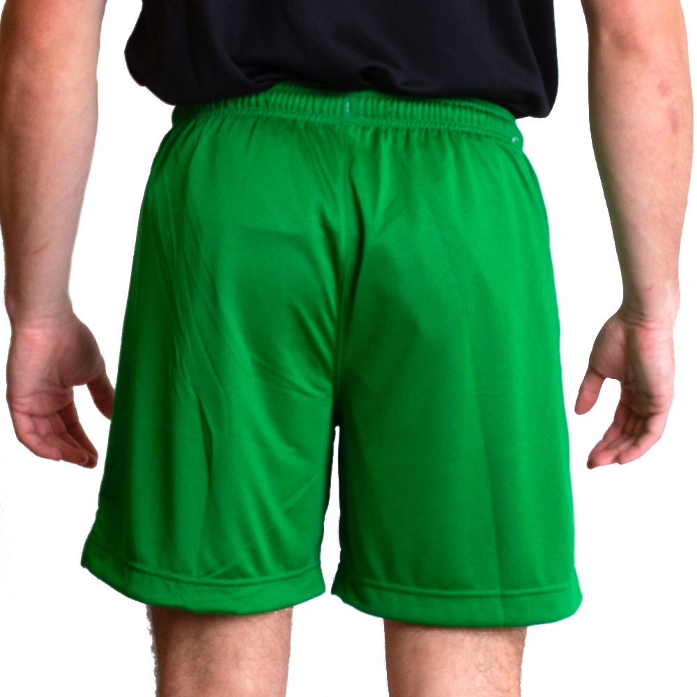 Classic Oregon O, Nike, Green, Shorts, Polyester, Men, Reversible mesh, 792268